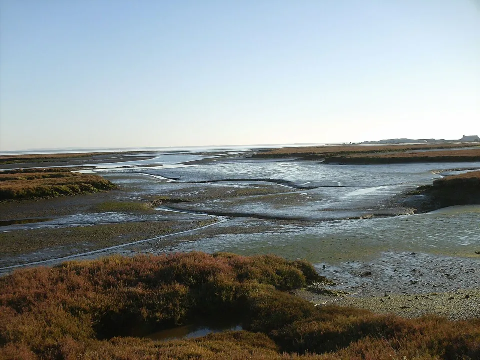 Estuário do Sado — Epinheiro / Wikimedia Commons / CC BY 3.0