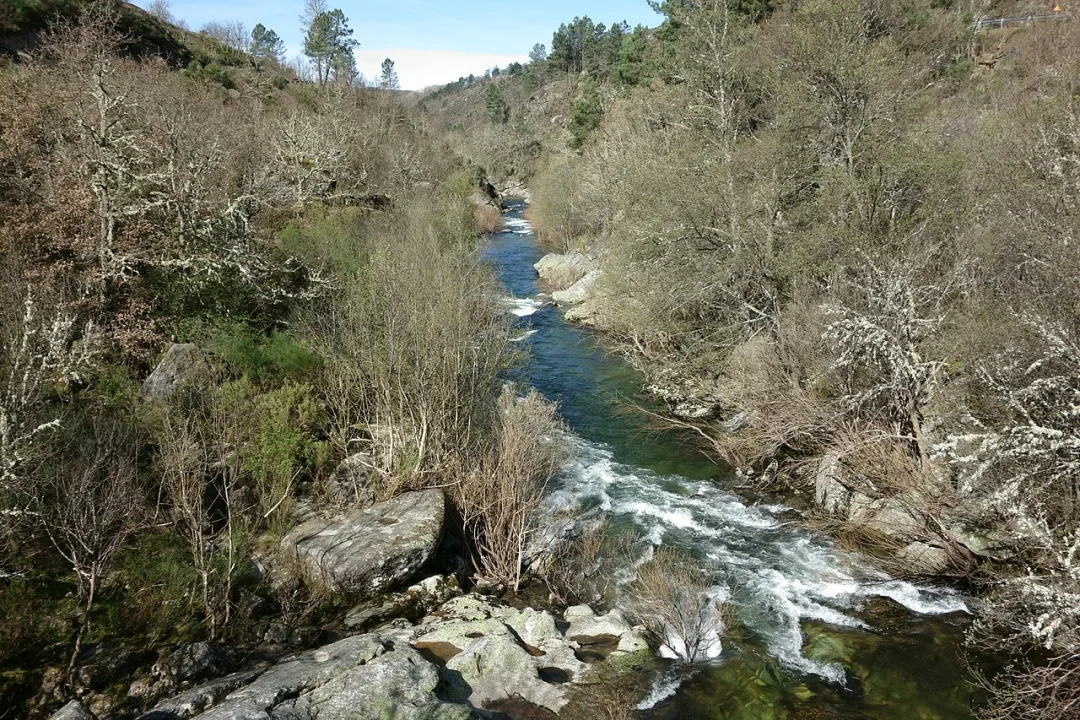 Rio Tuela / Río Tuela — Lmarper / Wikimedia Commons / CC BY-SA 3.0