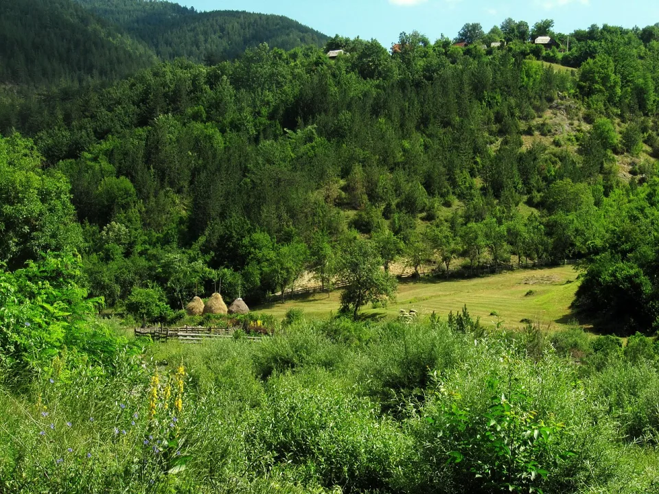 Beli Rzav — DJUKI / Wikimedia Commons / CC BY 3.0