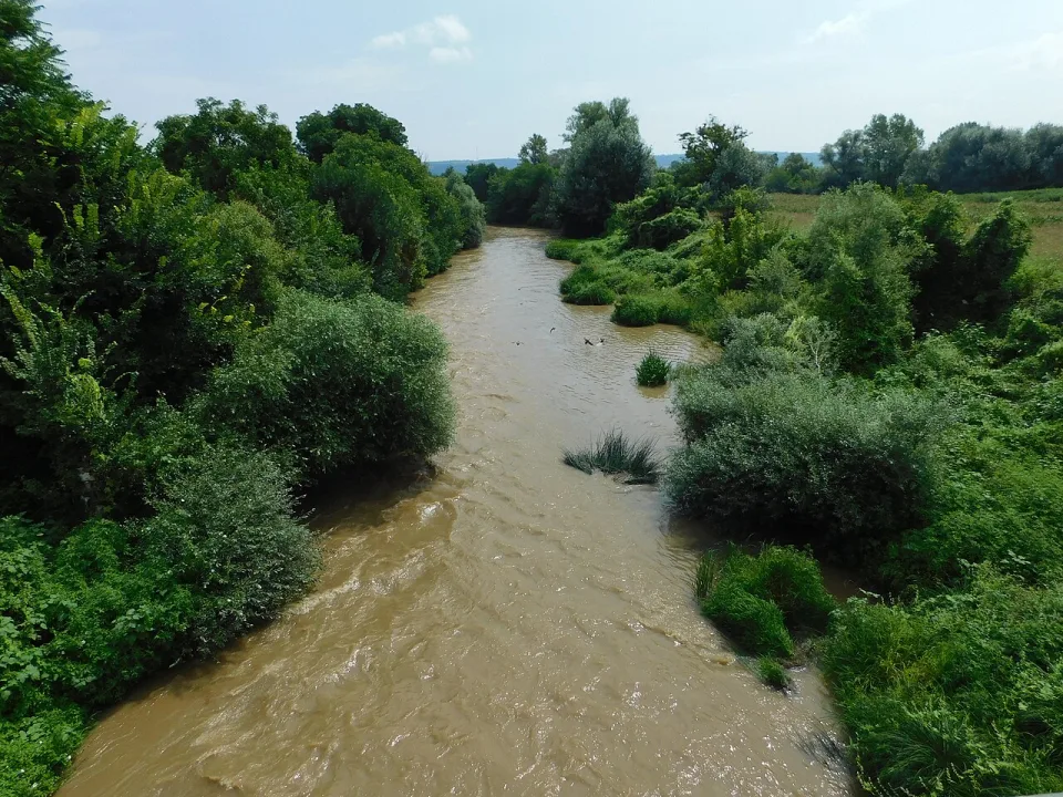 Crni Timok — Nikola Veljković / Wikimedia Commons / CC BY-SA 4.0
