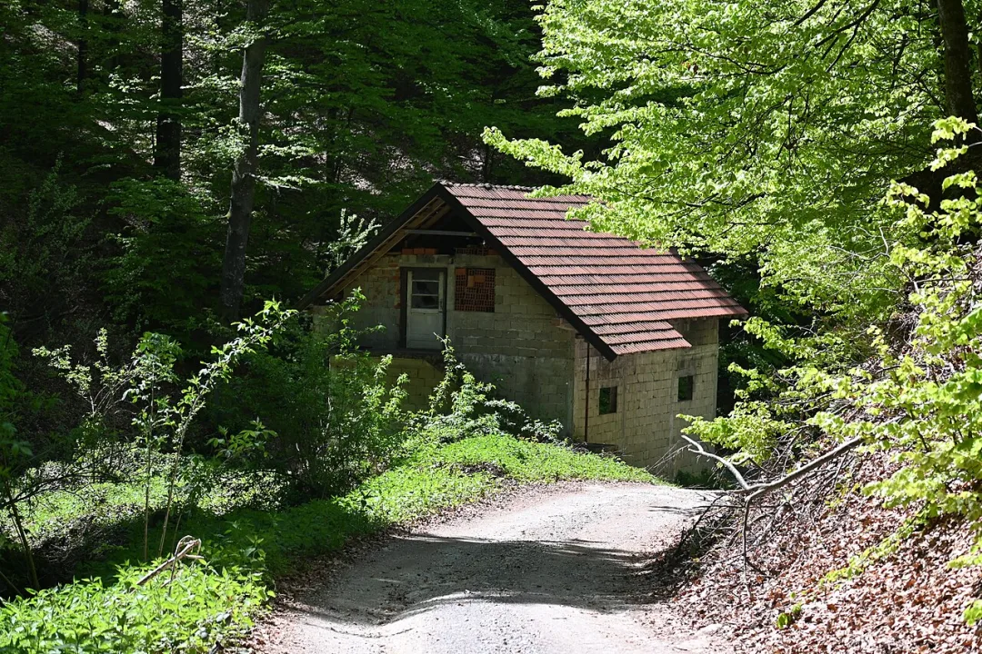Radalj — Ljiljana Krupanj / Wikimedia Commons / CC BY 4.0