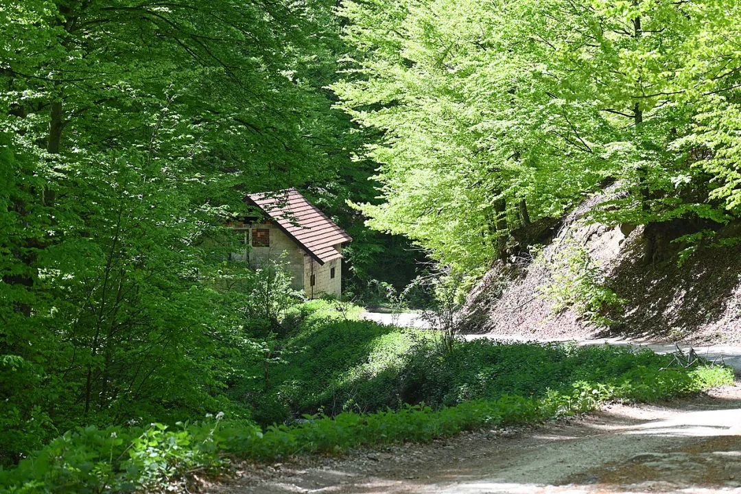 Radalj — Ljiljana Krupanj / Wikimedia Commons / CC BY 4.0