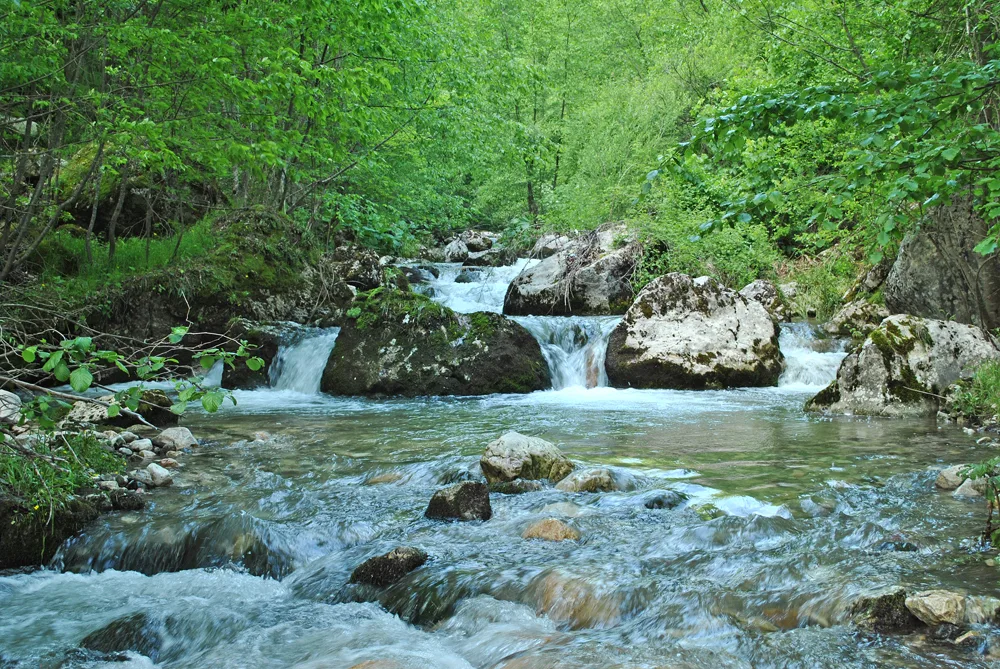 Skrapez — Гуцунски Драган / Wikimedia Commons / Public domain