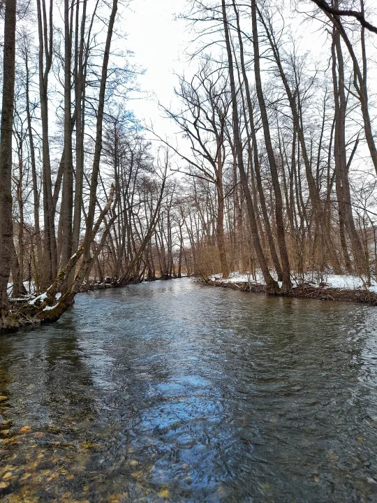 Zlot River — Marezzz / Wikimedia Commons / CC BY-SA 4.0