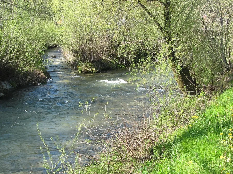 Gradaščica — Doremo / Wikimedia Commons / CC BY-SA 3.0