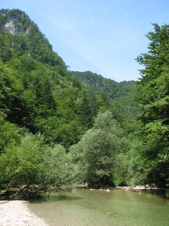 Iška — Yerpo / Wikimedia Commons / CC BY-SA 3.0