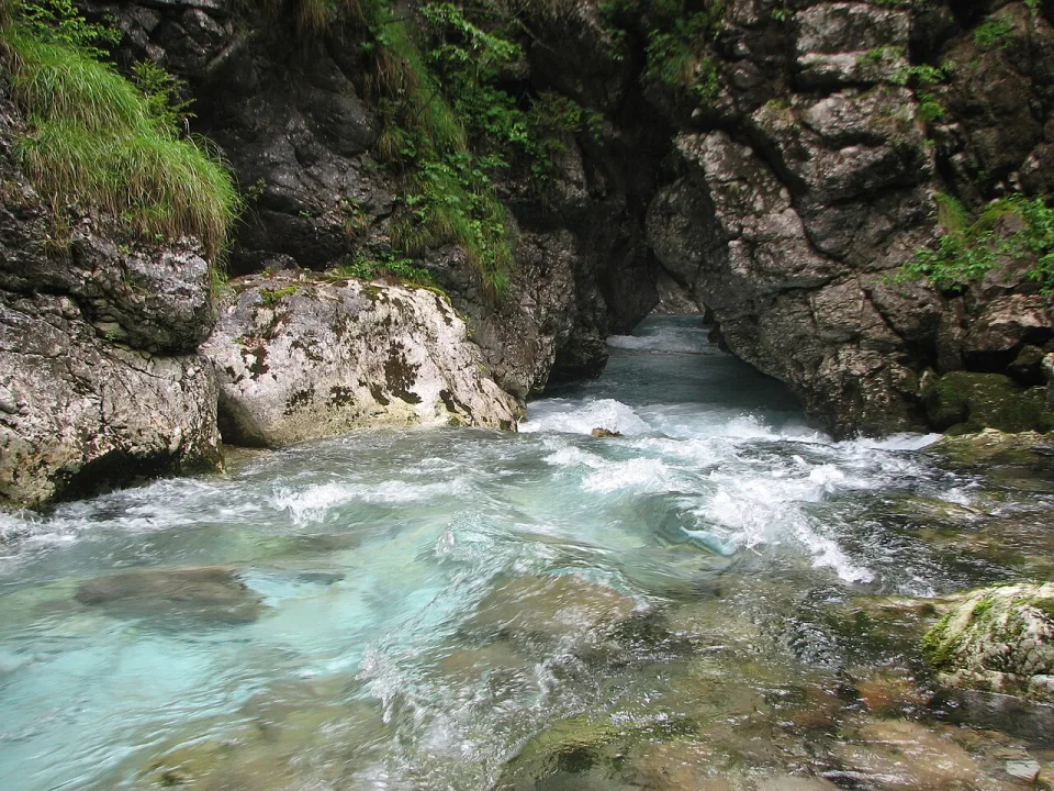 Kamniška Bistrica — Brane Blokar / Wikimedia Commons / CC BY-SA 3.0