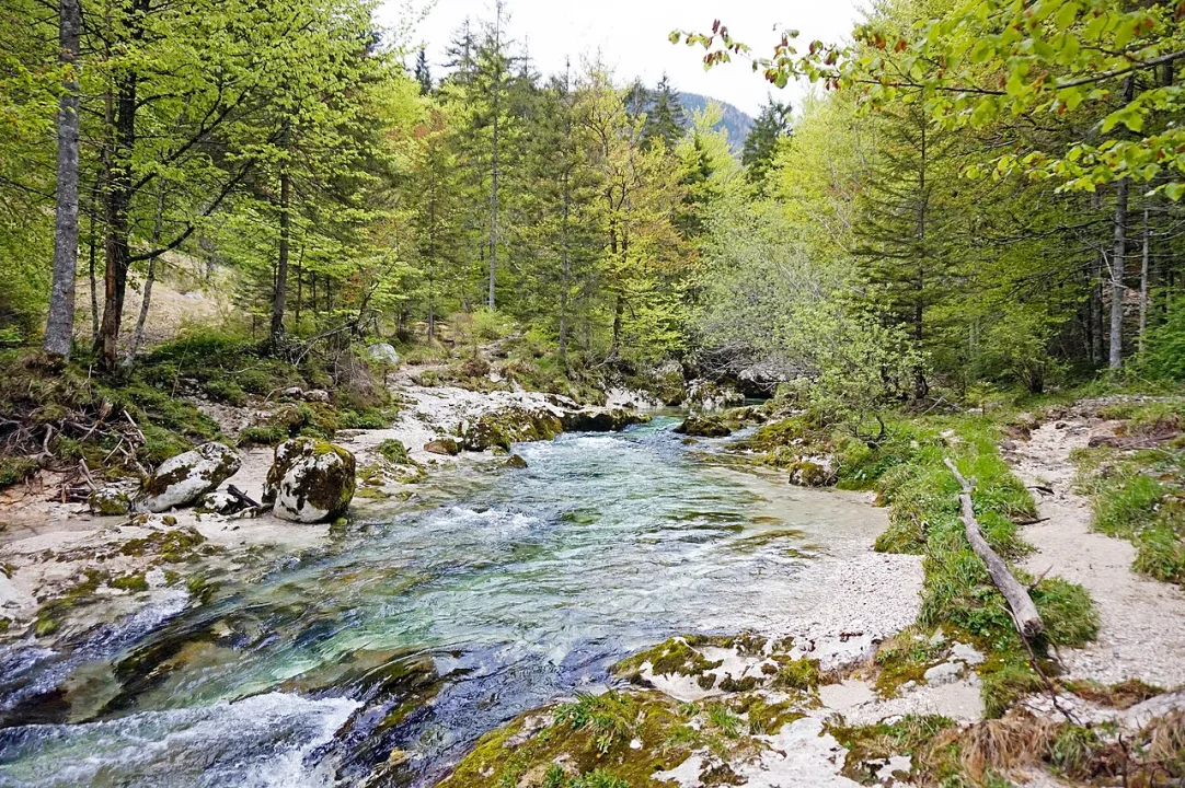 Mostnica — Tiia Monto / Wikimedia Commons / CC BY-SA 3.0