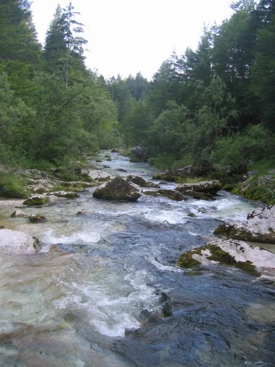 Mostnica — Sl-Ziga / Wikimedia Commons / Public domain