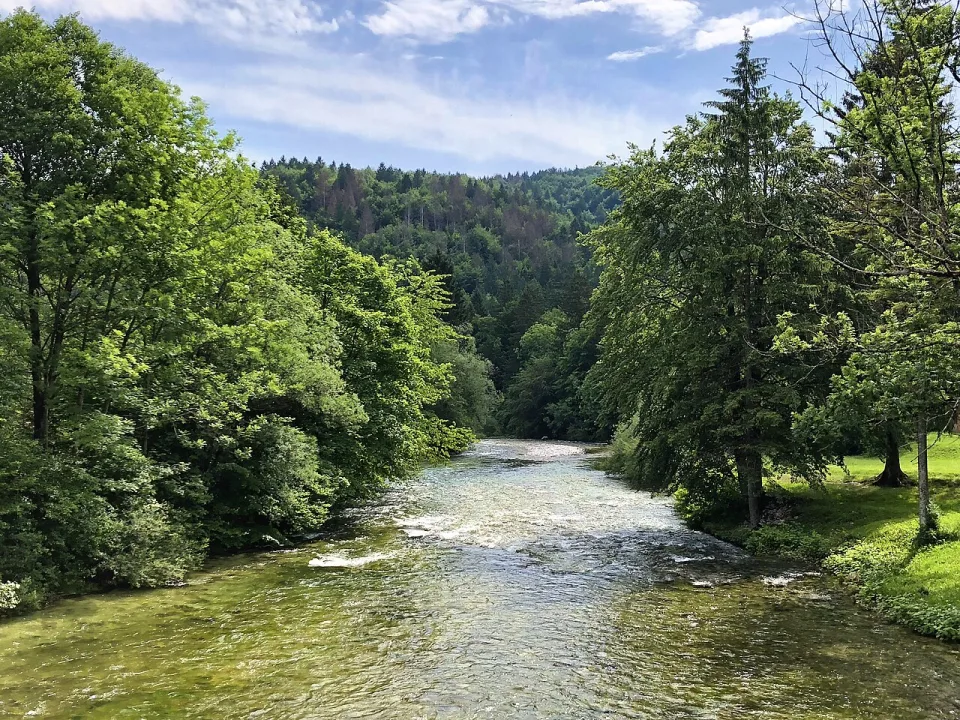 Sava Bohinjka — aiva. / Wikimedia Commons / CC BY 2.0