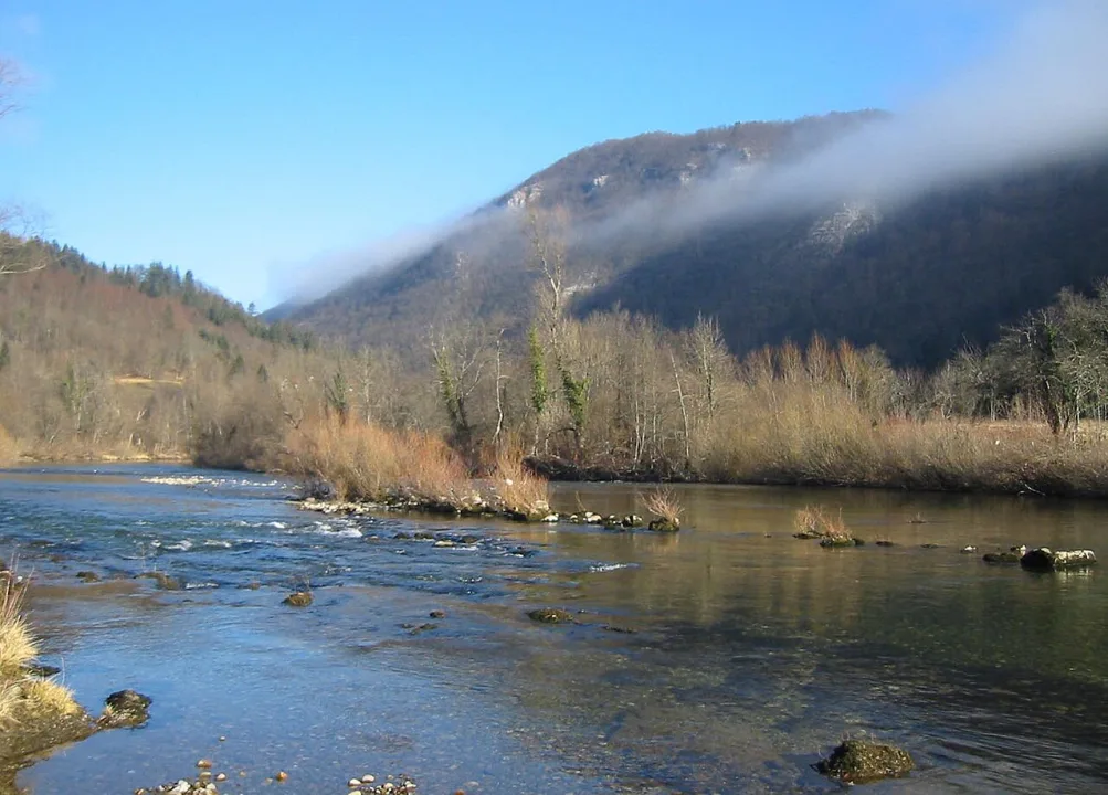 Sava Bohinjka — No machine-readable author provided. Žiga assumed (based on copyright claims). / Wikimedia Commons / Public domain