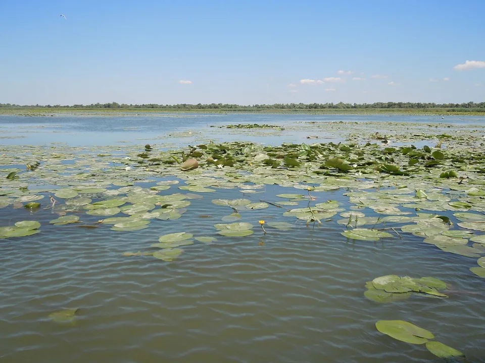 Bile ozero — Yuriy Kvach / Wikimedia Commons / CC BY-SA 3.0