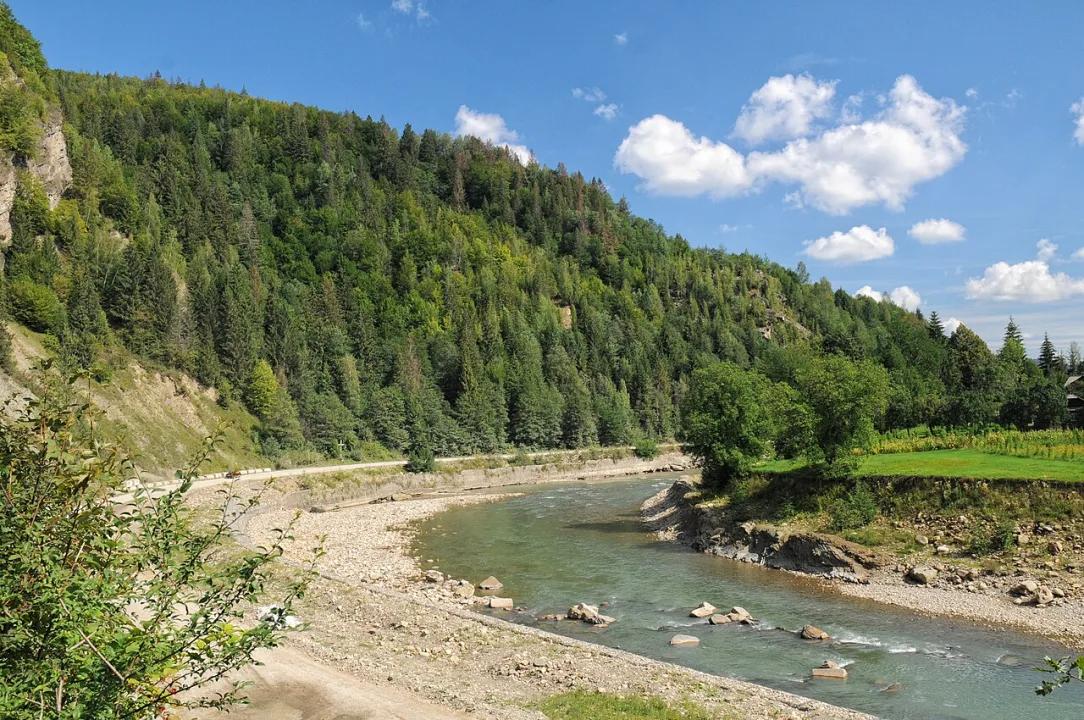 Cheremosh — Сергій Криниця (Haidamac) / Wikimedia Commons / CC BY-SA 3.0
