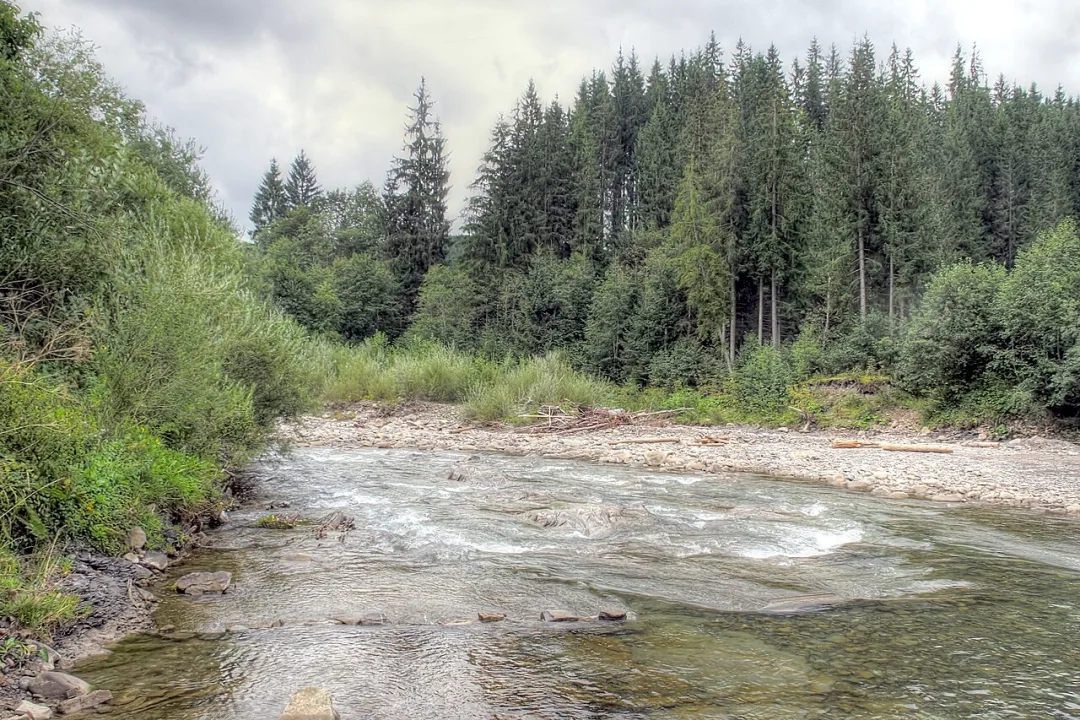 Chorna Tysa — Raimond Spekking / Wikimedia Commons / CC BY-SA 4.0
