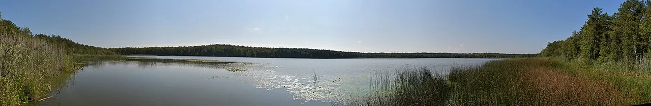 Moshne — Viacheslav Galievskyi / Wikimedia Commons / CC BY-SA 4.0