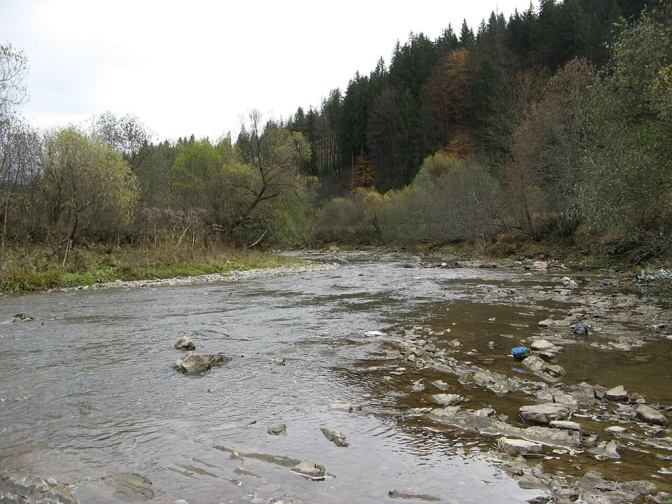 Rypenka — MSha / Wikimedia Commons / CC BY-SA 4.0